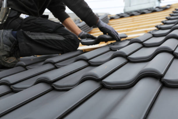 Best Commercial Roofing Services  in Evans, CO